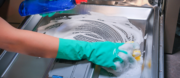 Cleaning dishwasher door